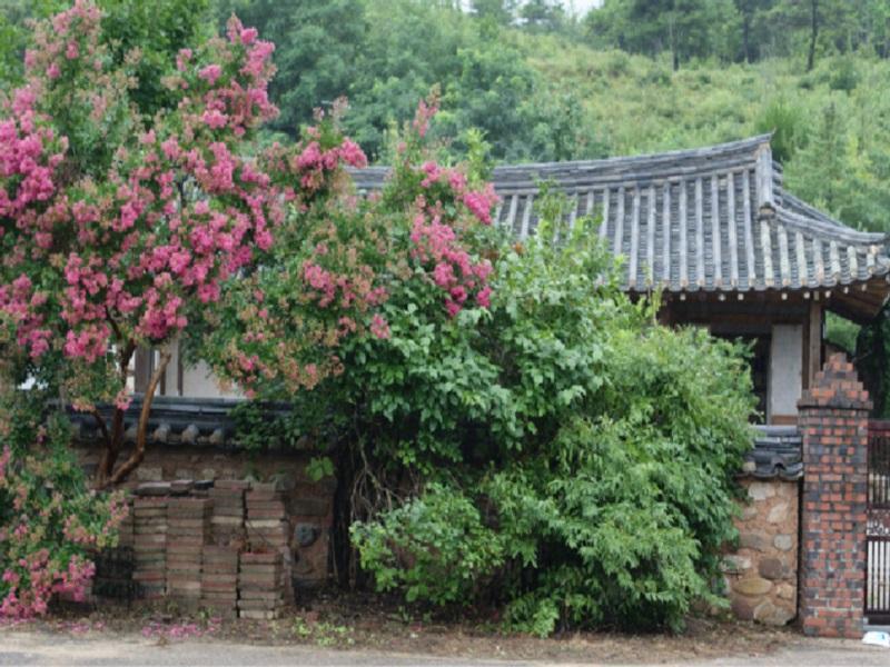 Jeongjaejongtaek Hanok Guesthouse Andong Exterior photo